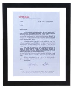 Reconhecimento Bayer - Consultor Logístico -Cotrijal