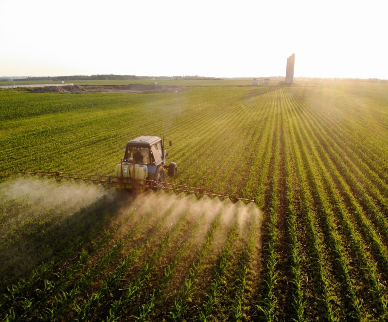 foto home GT agro Grande